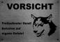 Preview: Edelstahl Warnschild Husky VORSICHT Freilaufender Hund! Betreten auf eigene Gefahr!